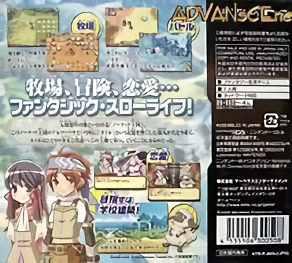 Image n° 2 - boxback : Rune Factory 2